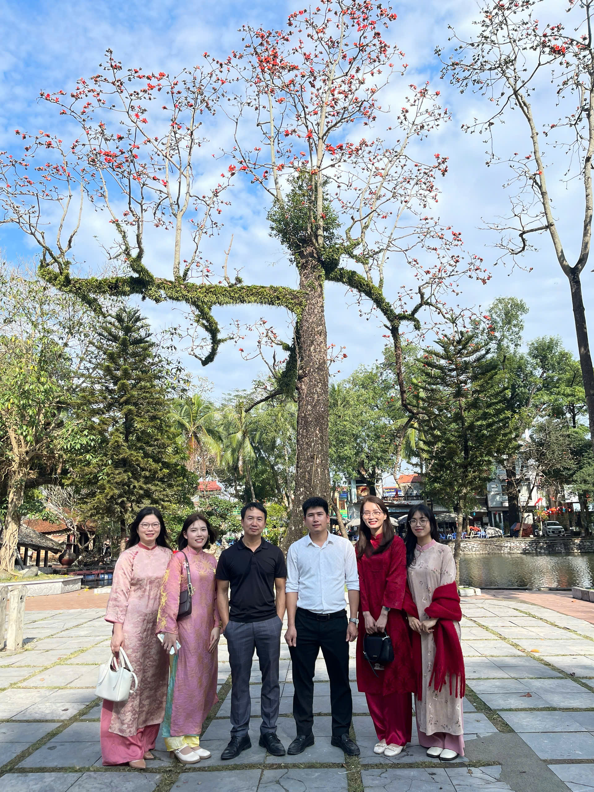 Đội ngũ và dự án